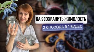 Варенье из жимолости: 2 рецепта | Заготовки на зиму своими руками