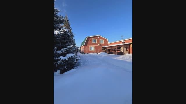 Меридиальная улица, 11 смотреть онлайн