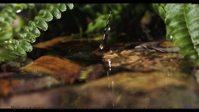 Мелодия превращает кадры в личный портал в мечты - Lost Worlds -- Ketsa -- 5D