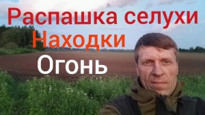 нашли распаханную селуху