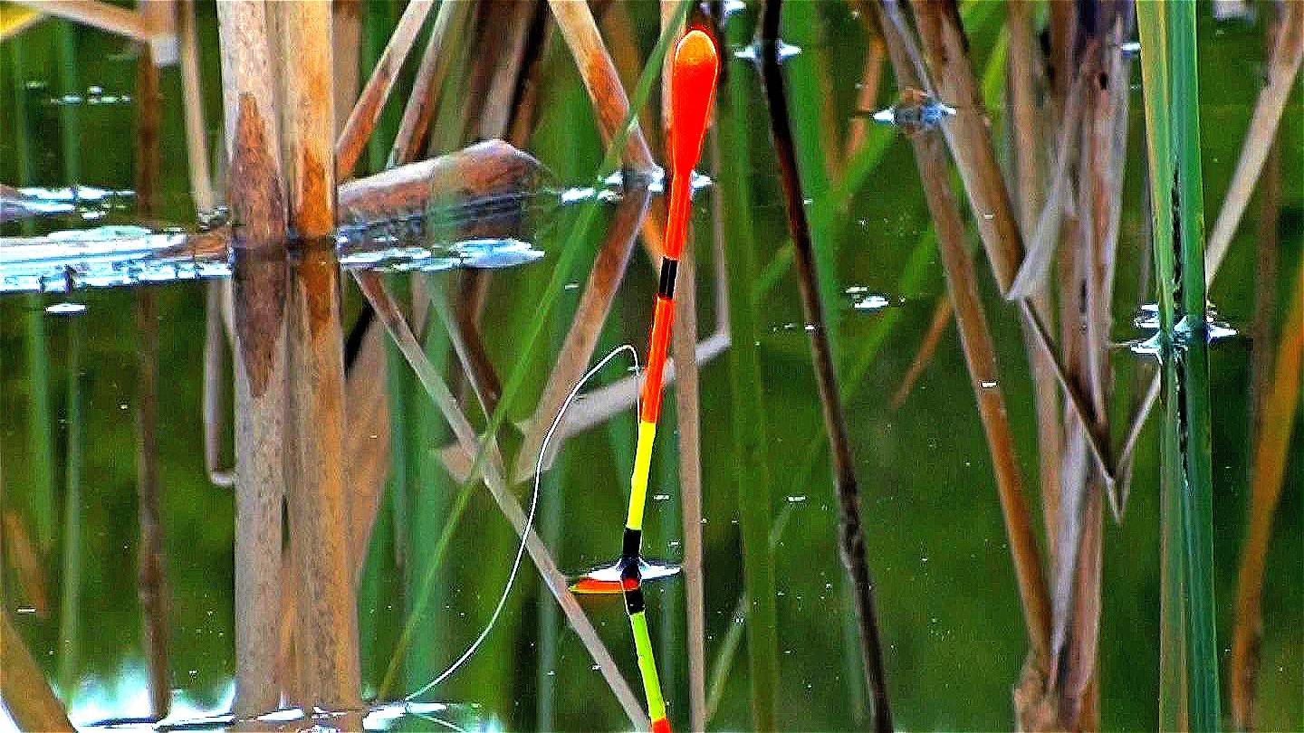 Карась на чеснок. Ловлю по пояс в воде. Замерз