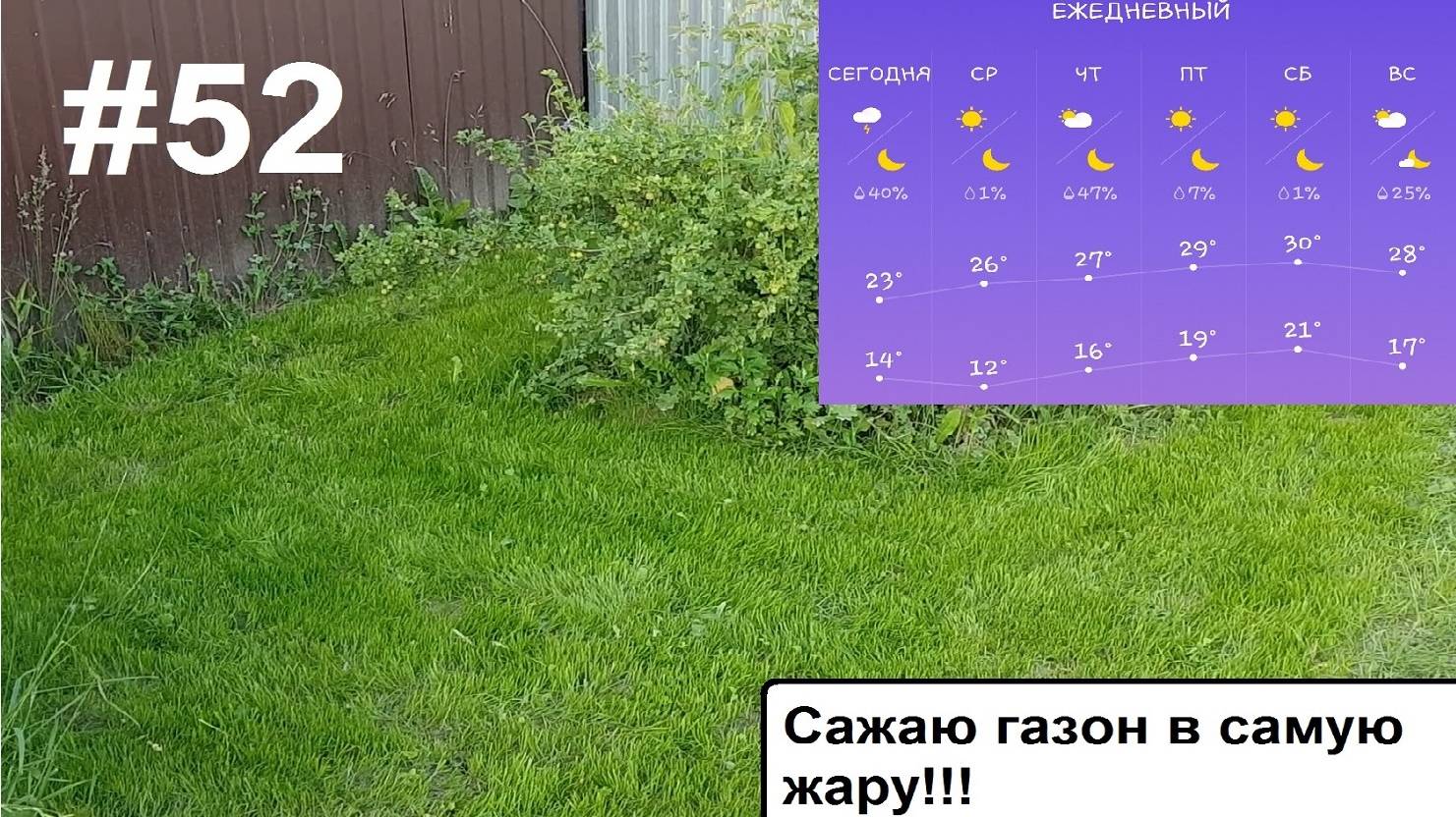 Сажаю газон в самую жару. смотреть онлайн