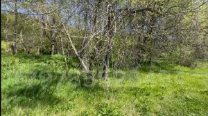 Зеленое, Бельбекская Долина, 1.11 Га на берегу речки