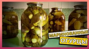 САМЫЙ ПРОСТОЙ способ засолки огурцов на зиму. Вкусные, хрустящие маринованные огурцы на зиму
