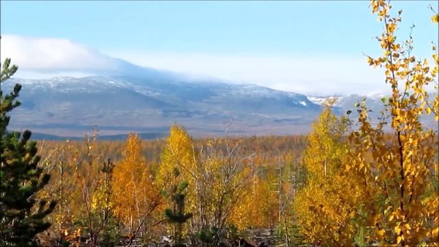 Из архива. О горах. смотреть онлайн