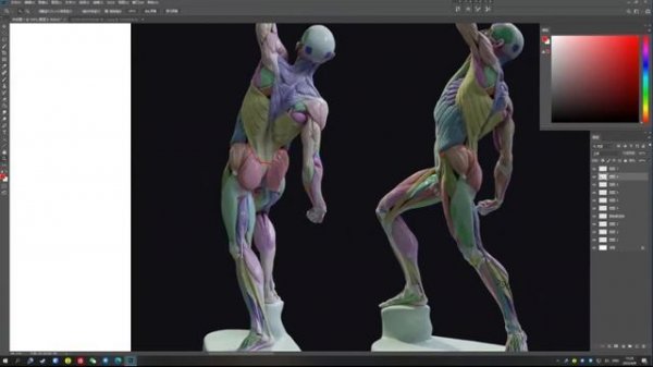 14.第四节:人体1