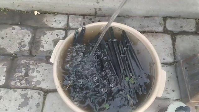 // как стать хоббиписером?? XDD // тутор //