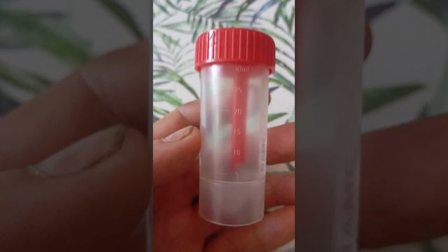 Ëмкость баночка для кала, биоматериала смотреть онлайн