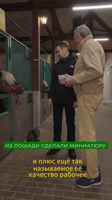 Самые лучшие пони в мире! смотреть онлайн