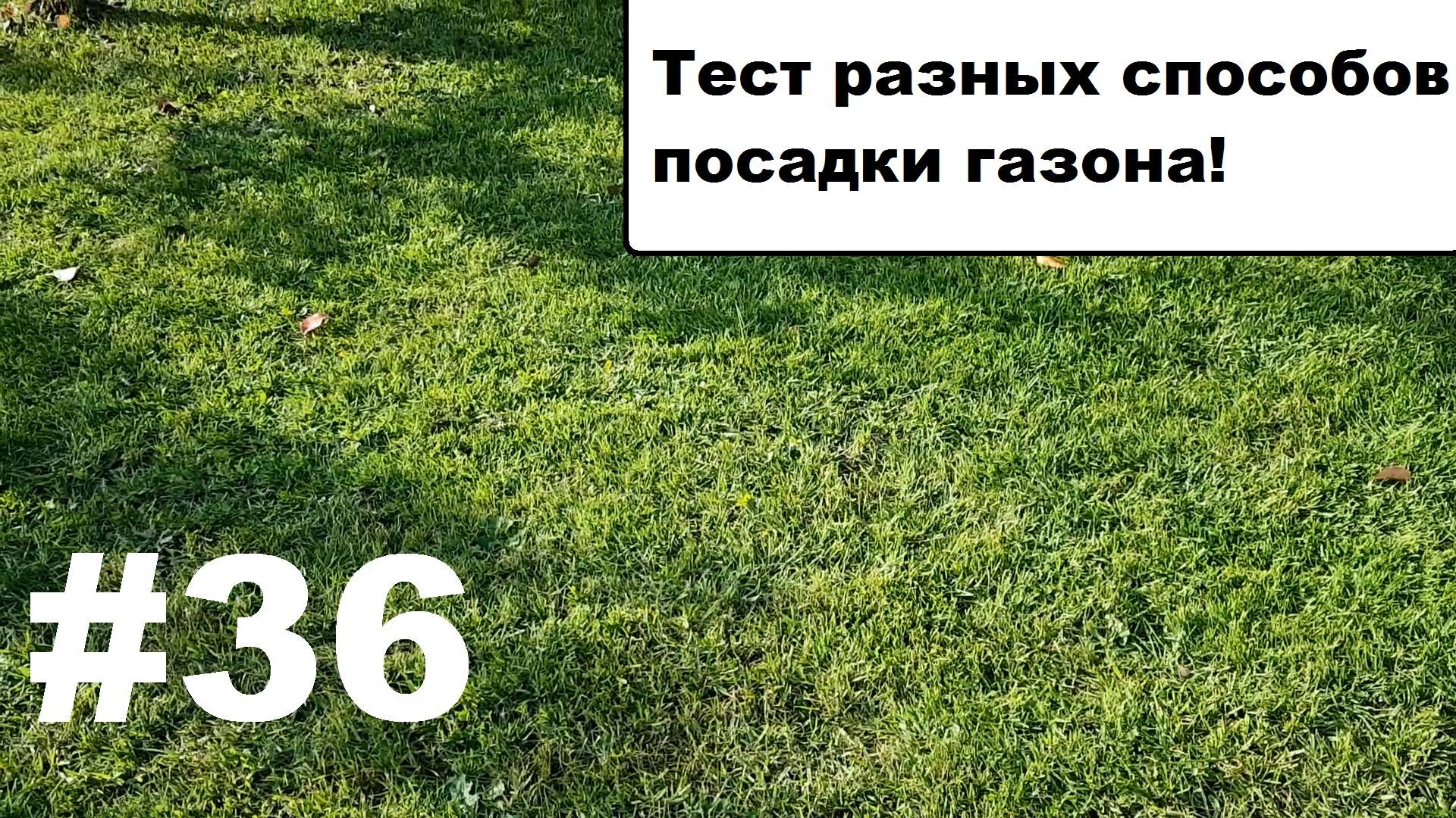 Разные способы посадки газона. смотреть онлайн