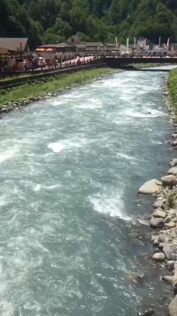 Река Мзымта смотреть онлайн