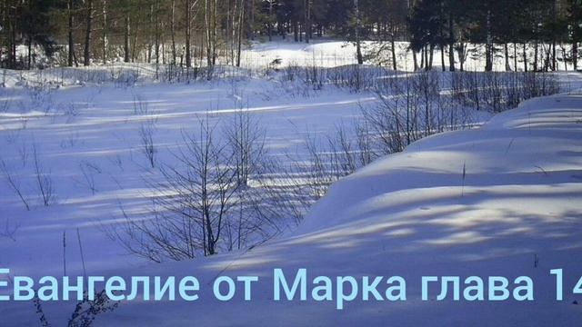 Библия Евангелие от Марка глава 14 смотреть онлайн