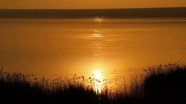 Спокойное озеро на закате