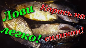 Ловля карася на силикон!