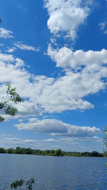 Звуки природы.