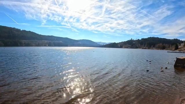 Озеро Titisee, Зоопарк и Незабываемые Виды! 🇩🇪#travelblogger