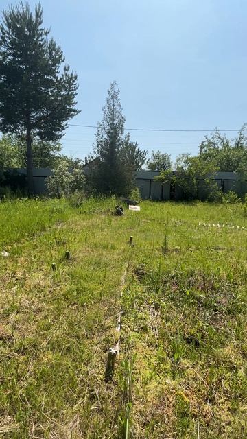 113898 смотреть онлайн