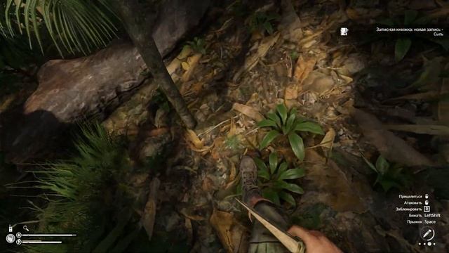 Продолжение сюжета в Green Hell смотреть онлайн