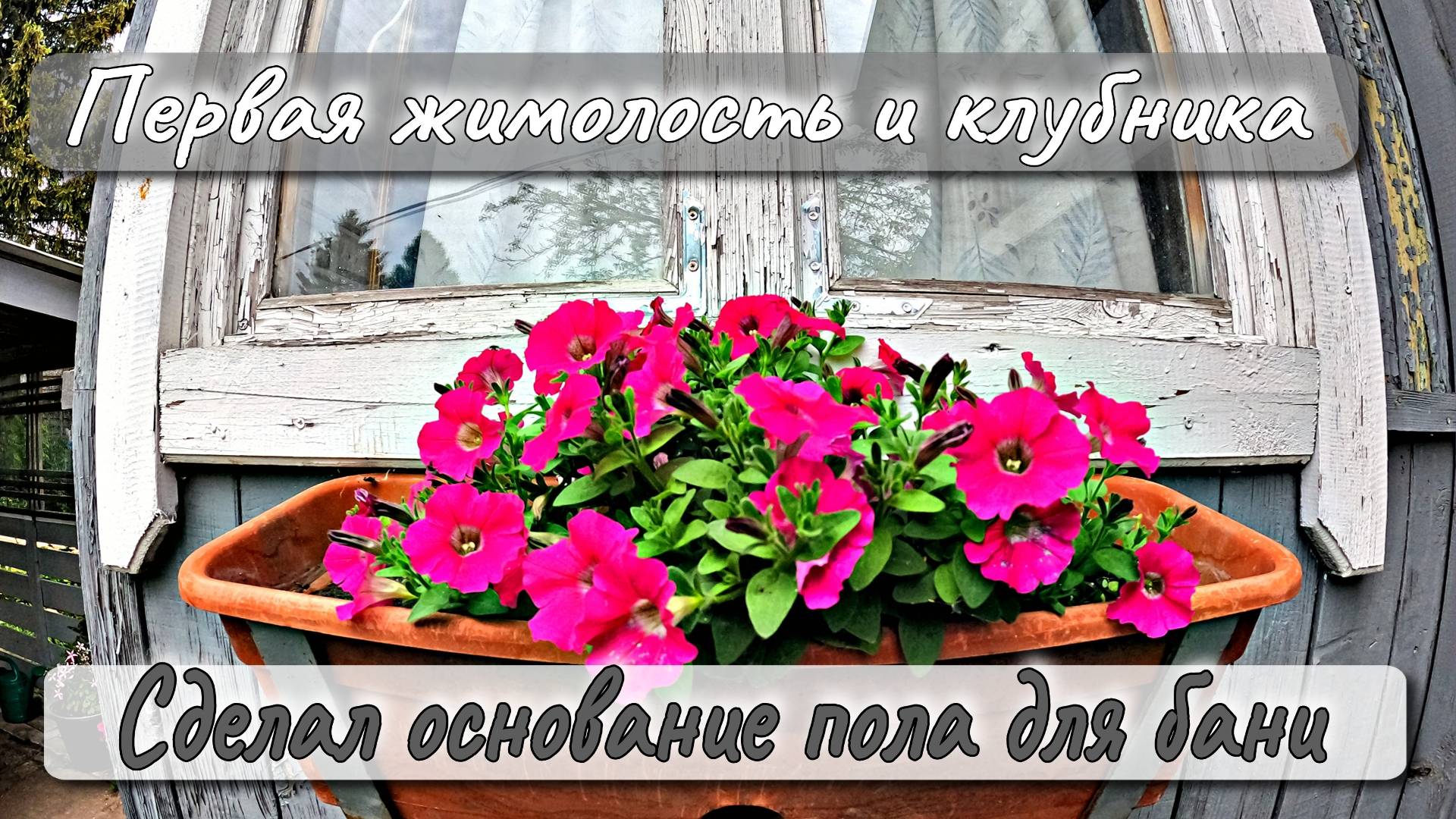 ПЕРВАЯ ЖИМОЛОСТЬ И КЛУБНИКА СДЕЛАЛ ОСНОВАНИЕ ПОЛА ДЛЯ БАНИ смотреть онлайн