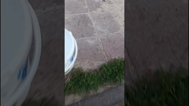 подкидыш и про коз ❤️