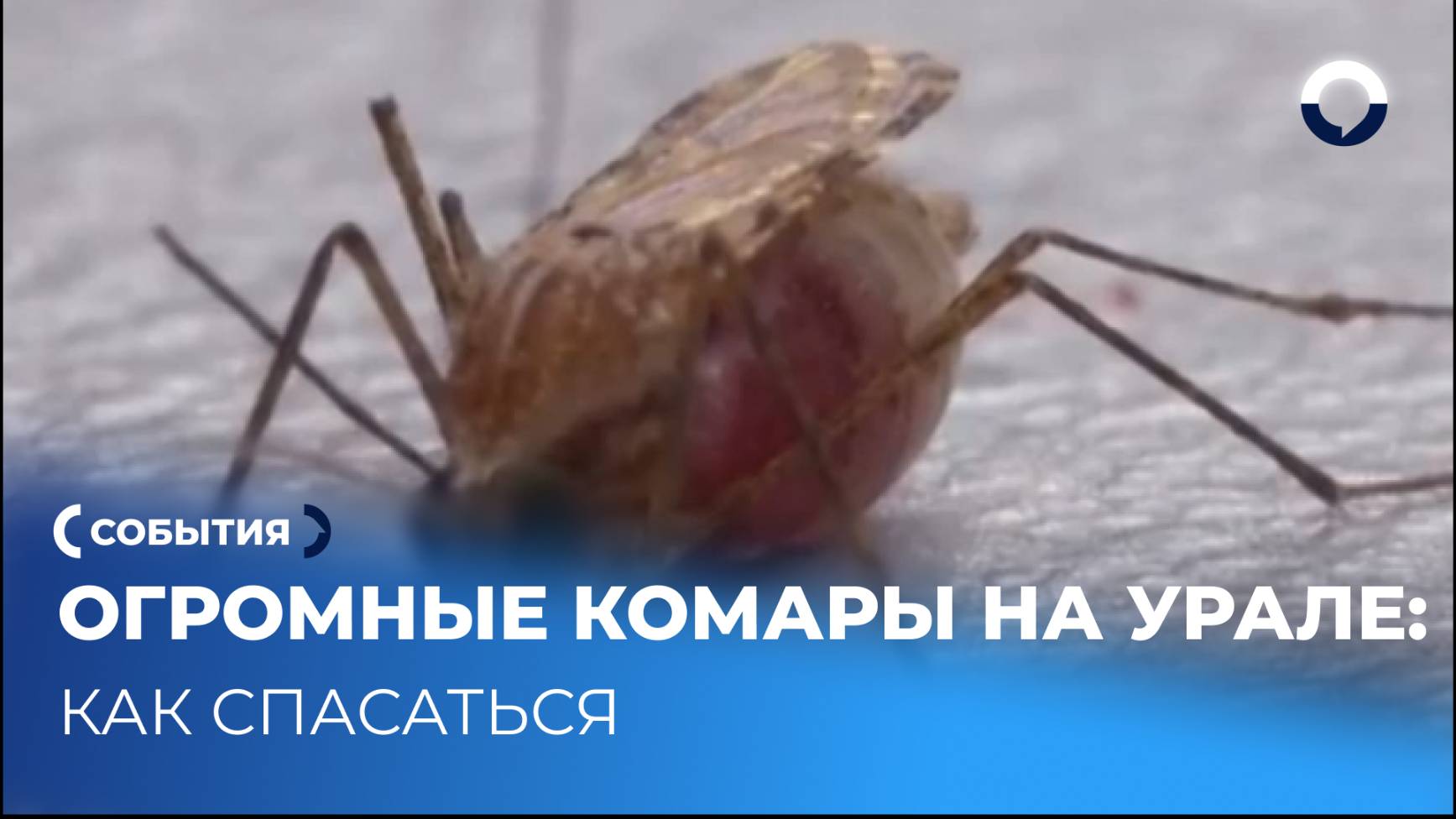 Телекомпания ОТВ