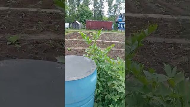 VIDEO-2025-06-09-19-32-32 смотреть онлайн