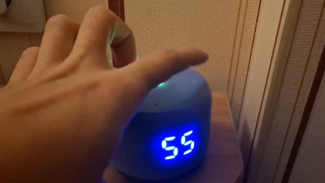 Работа Яндекс.Станции Лайт 2