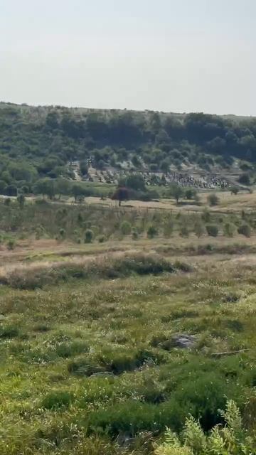 земля населенных пунктов