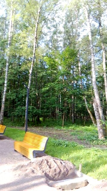 В летнем парке ранним утром! смотреть онлайн