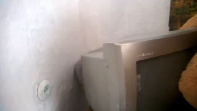 СВИН КИРИЛЛ И ЗНАКОМСТВО С КОМПЬЮТЕРОМ