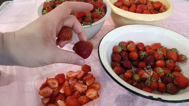 Ремонт дома. Собрали небывалый урожай ягоды. Дела домашние. смотреть онлайн