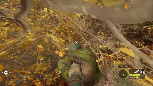 ✅The Hunter Call of the Wild! ❤️ ОХОТА НА МЕДВЕДЯ! 2К Стрим! смотреть онлайн