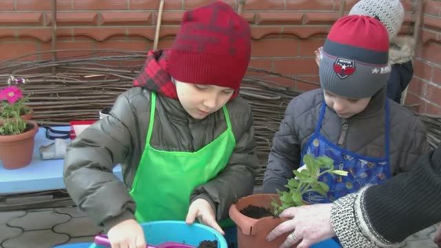 Детский сад // Занятие Знатоки природы и родного края смотреть онлайн