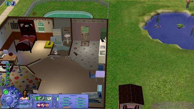 Живу за счет питомцев в The Sims 2 ♦ Агрессивно шалят и бун