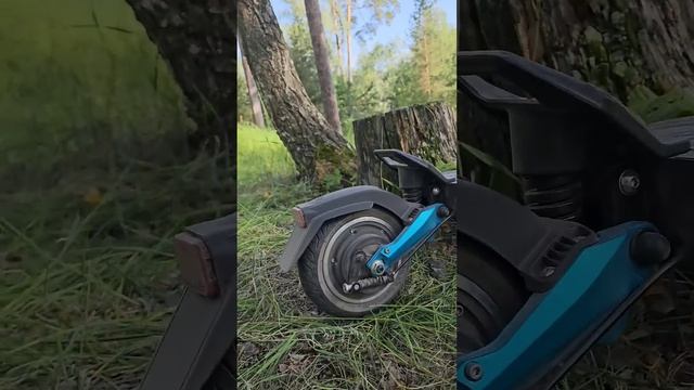 White Siberia Sputnik В лесу