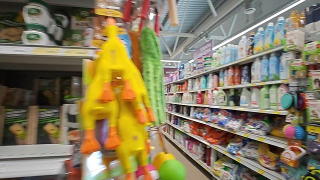 1000061539.mp4 смотреть онлайн