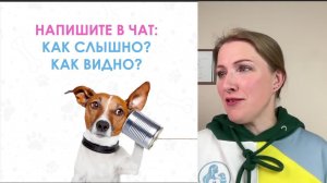 Мастер класс по приучению щенка к пеленке