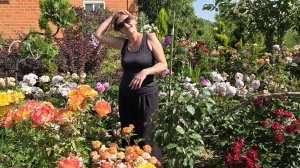 ✨️Золотые ручки кумочки моей✨️ Сад МЕЧТЫ ✨️