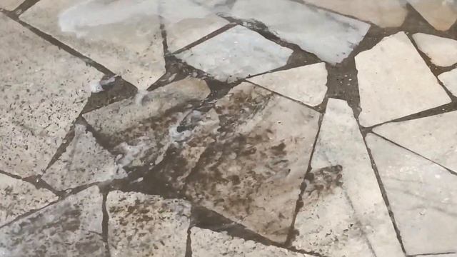 Volkswagen Caddy обслуживание с промывкой радиаторов и двига?