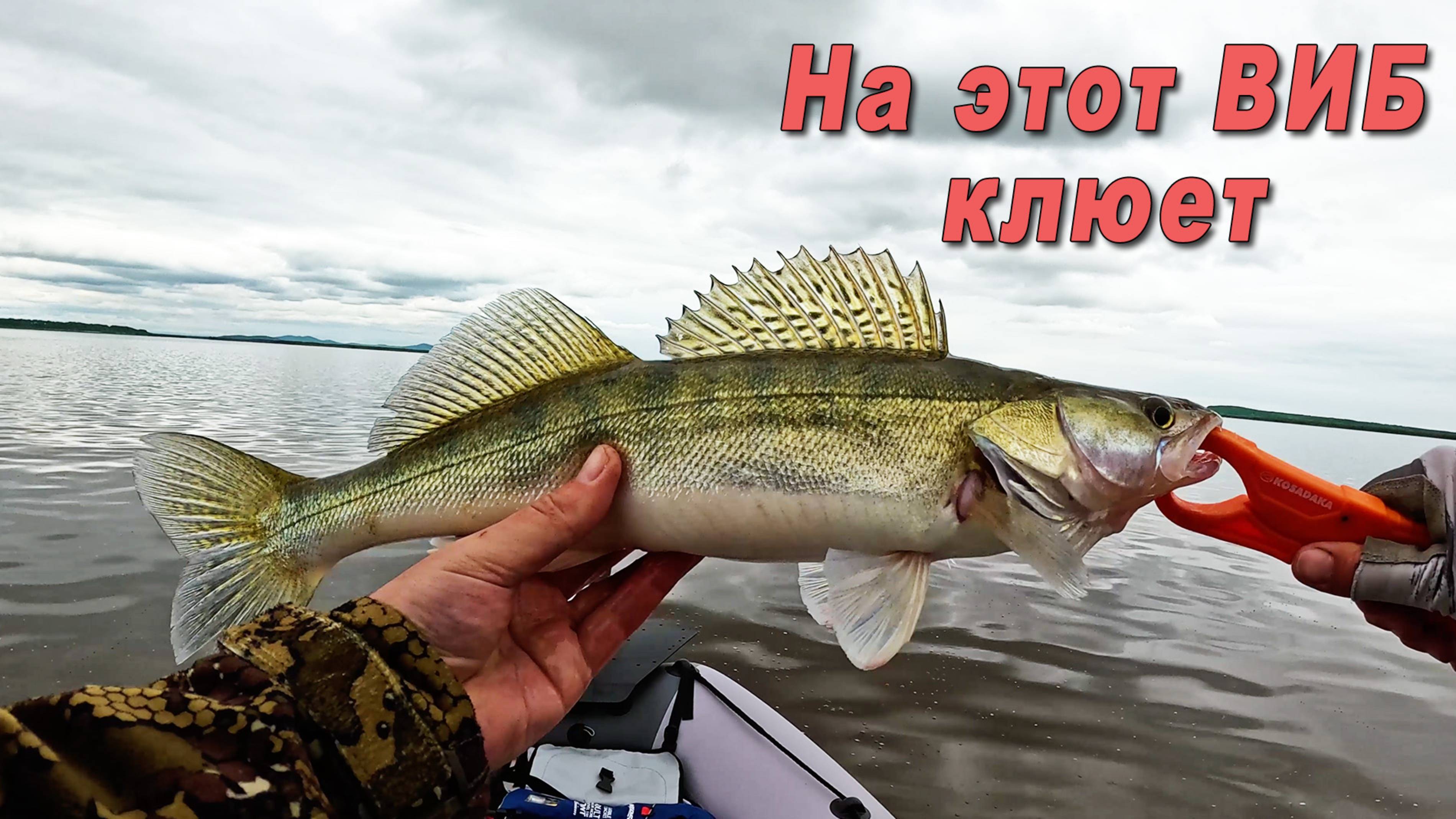 Главное - правильная проводка, открыл для себя ВИБ смотреть онлайн