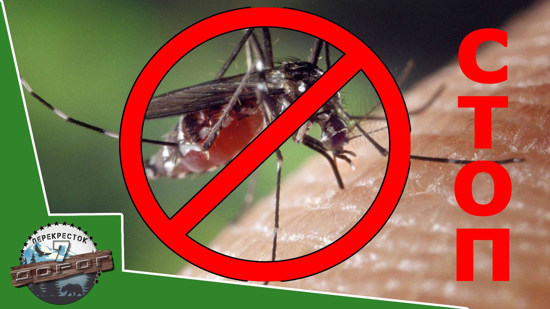 Секреты выживания на природе = Странник рассказывает как избавиться от комаров в лесу! смотреть онлайн