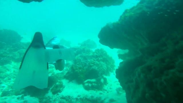 Рача. Пещера на глубине 12 метров