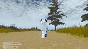 стоит ли покупать пасс в кв? | Roblox | Warrior cats |