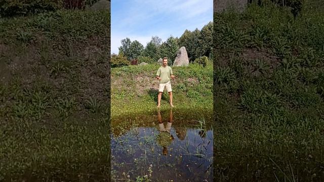 цигун- успокоение ума. луна в в ночном озере. qigong exercise. смотреть онлайн