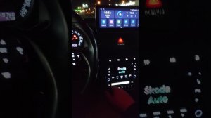 Мультимедиа Шкода Октавия тур часть 2