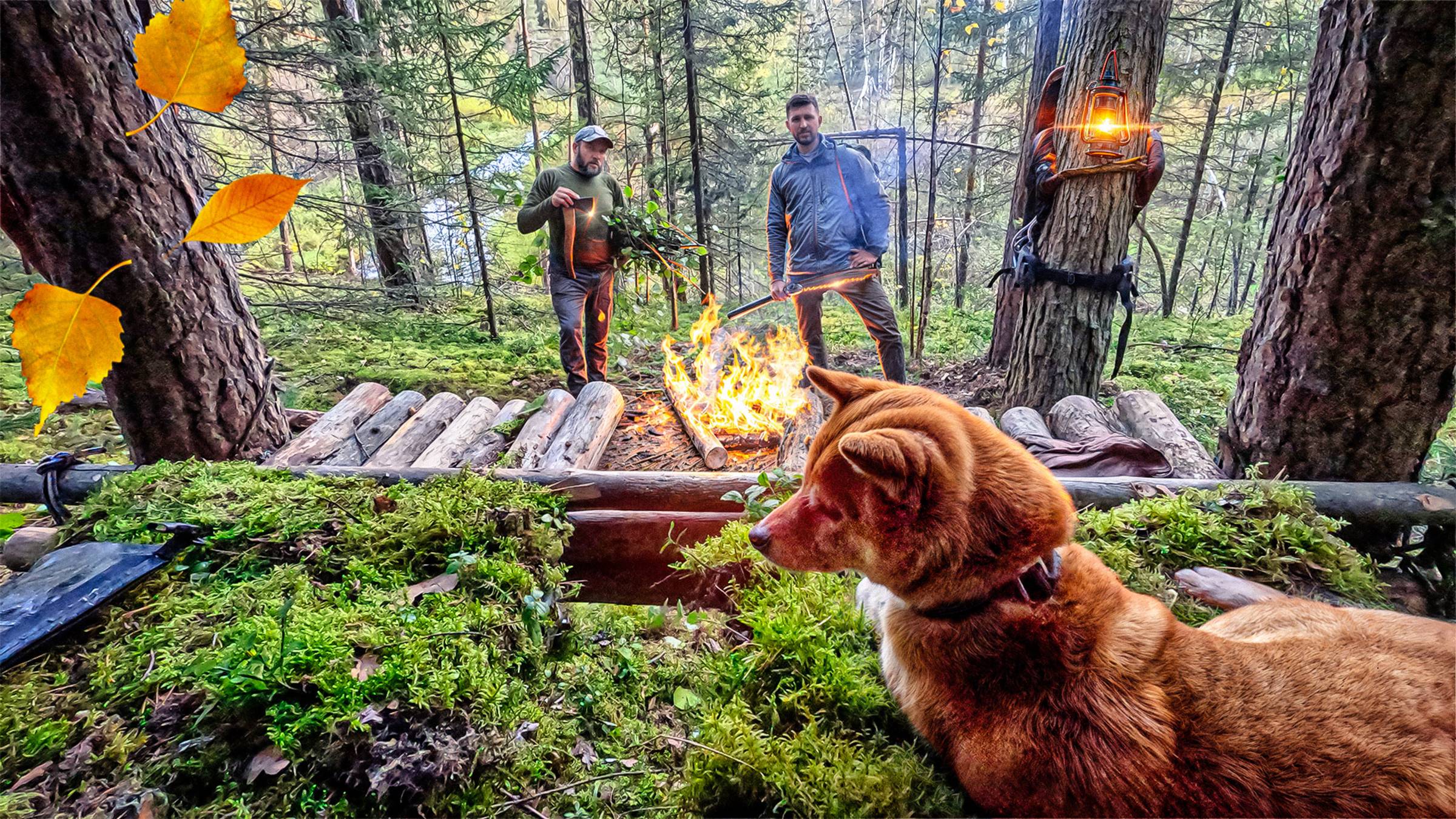 Строим ЛАГЕРЬ ВЫЖИВШИХ в ЛЕСУ без ЕДЫ И ВОДЫ - Дикая кухня и ВЫЖИВАНИЕ с минимумом снаряжения смотреть онлайн
