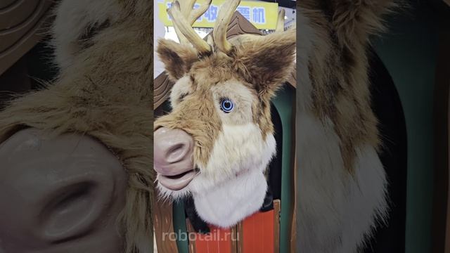 Музыкальные игрушки аниматоры смотреть онлайн