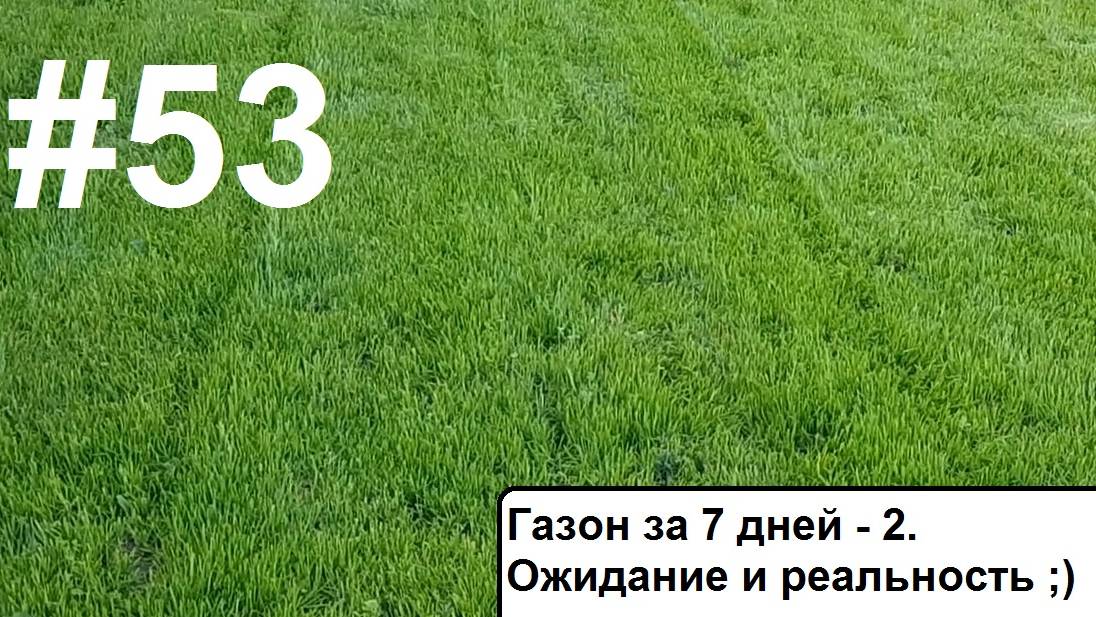 Газон за 7 дней -2. Ожидание и реальность. смотреть онлайн