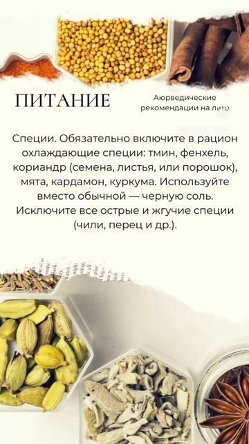 Аюрведа на лето.mp4 смотреть онлайн