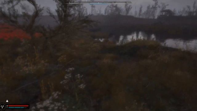 архи артефакт (СТРАННЫЙ ЦВЕТОК) ► S.T.A.L.K.E.R. 2: Heart of Chornobyl смотреть онлайн